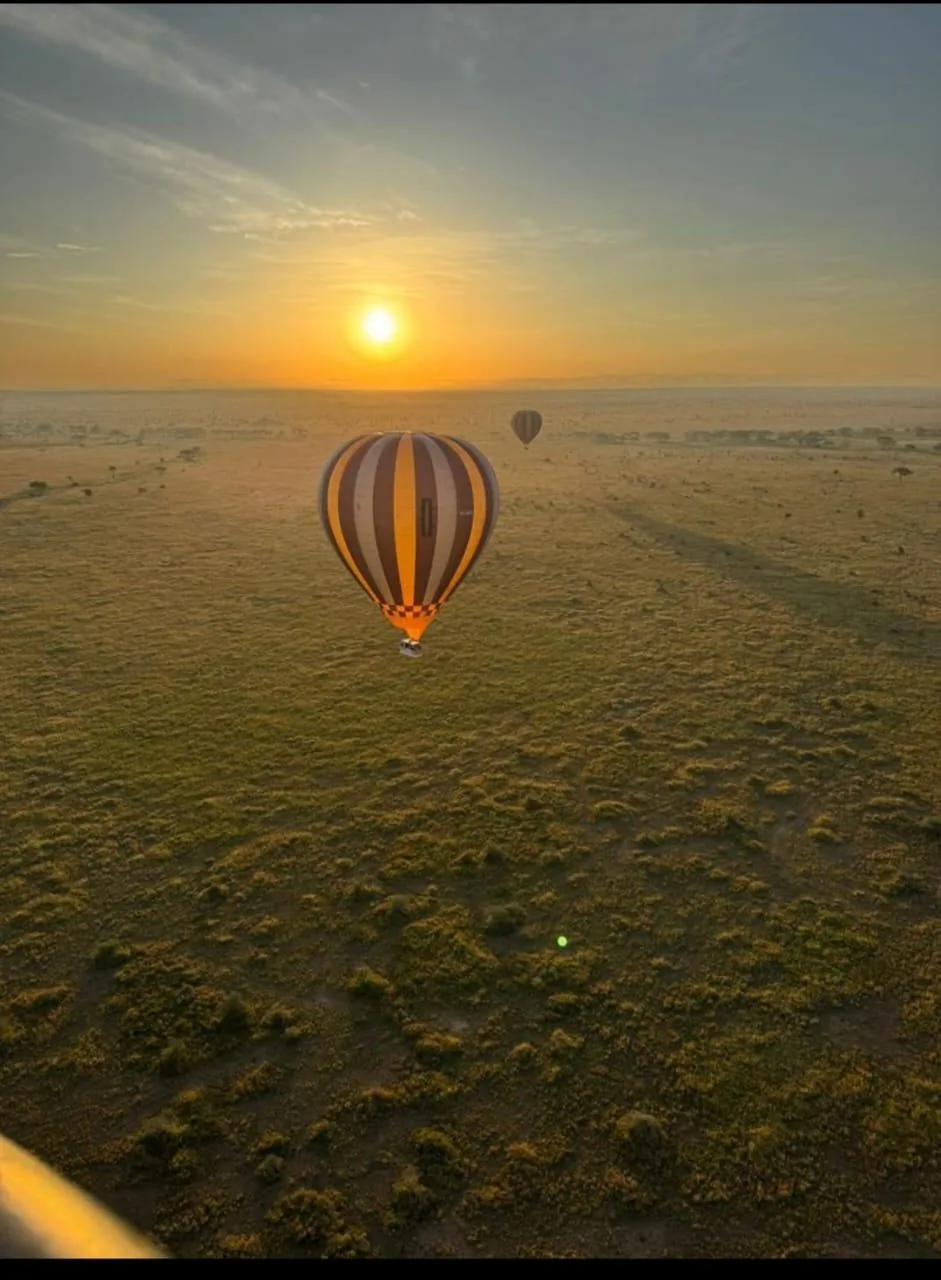 Hot air balloons above a Tanzania safari landscape